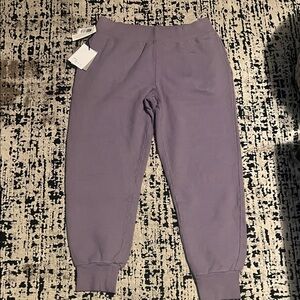 Aritzia TNA Cozy fleece  Purple Jogger Pants Caf perfect pocket size L